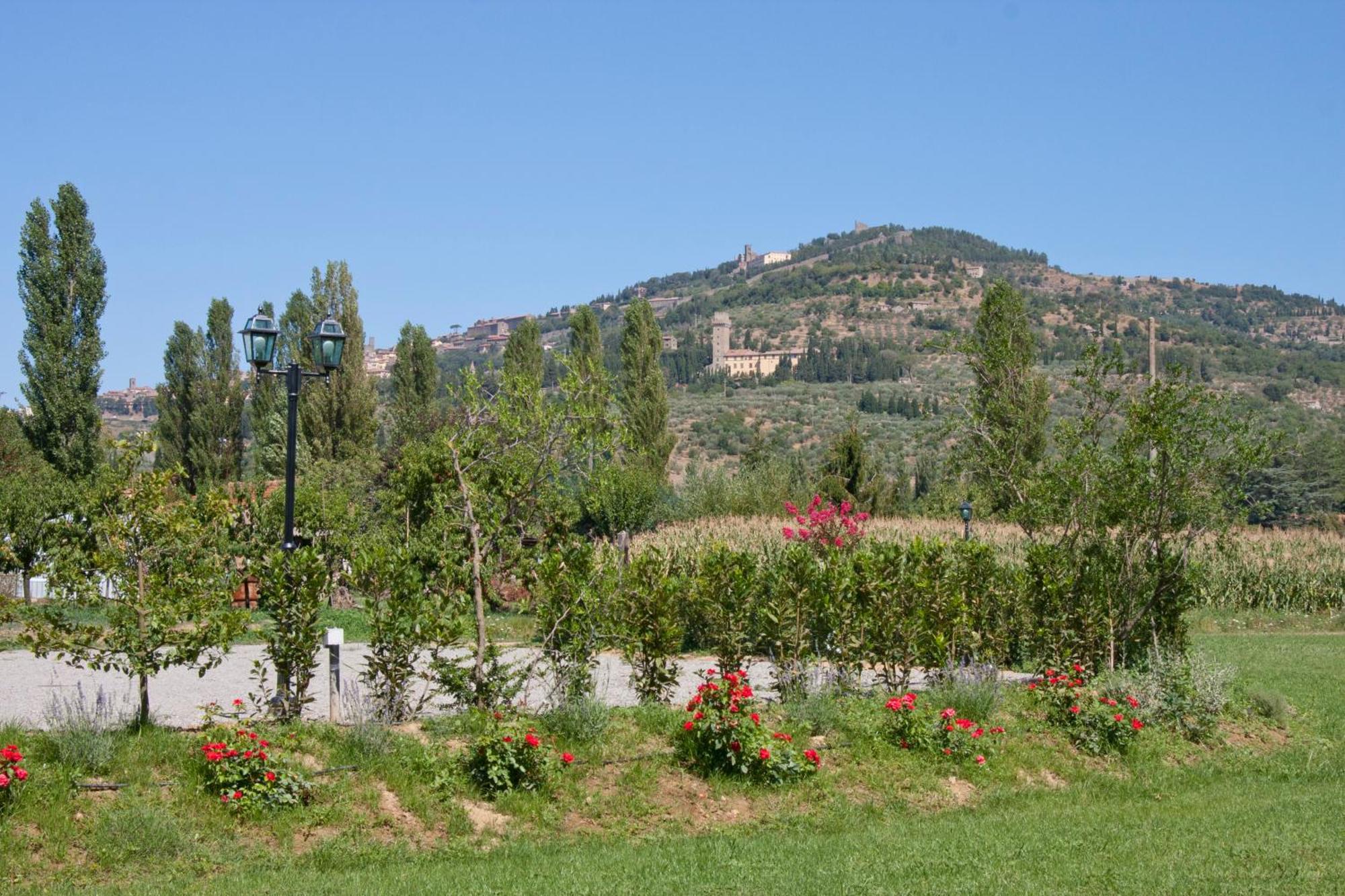 Bed and Breakfast Casale l'Antico Carro Cortona Exterior foto